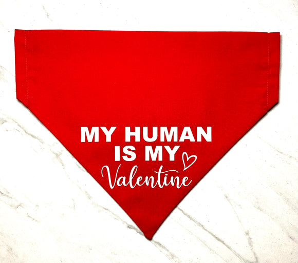 My Human is My Valentine